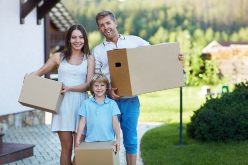 Different removal box types and packing materials for local customers